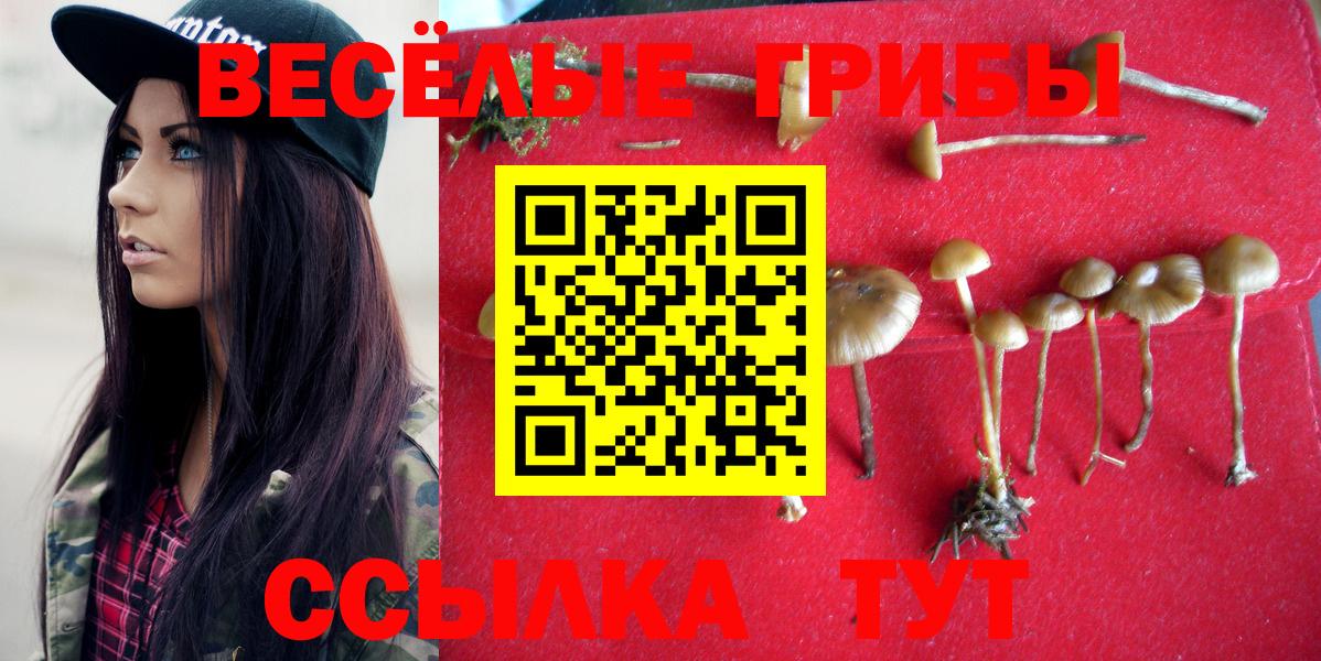 Псилоцибиновые грибы GOLDEN TEACHER Заводоуковск