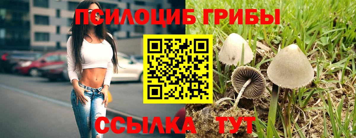 Псилоцибиновые грибы ЛСД  Псилоцибиновые грибы Cubensis  Заводоуковск  Вход с VPN 